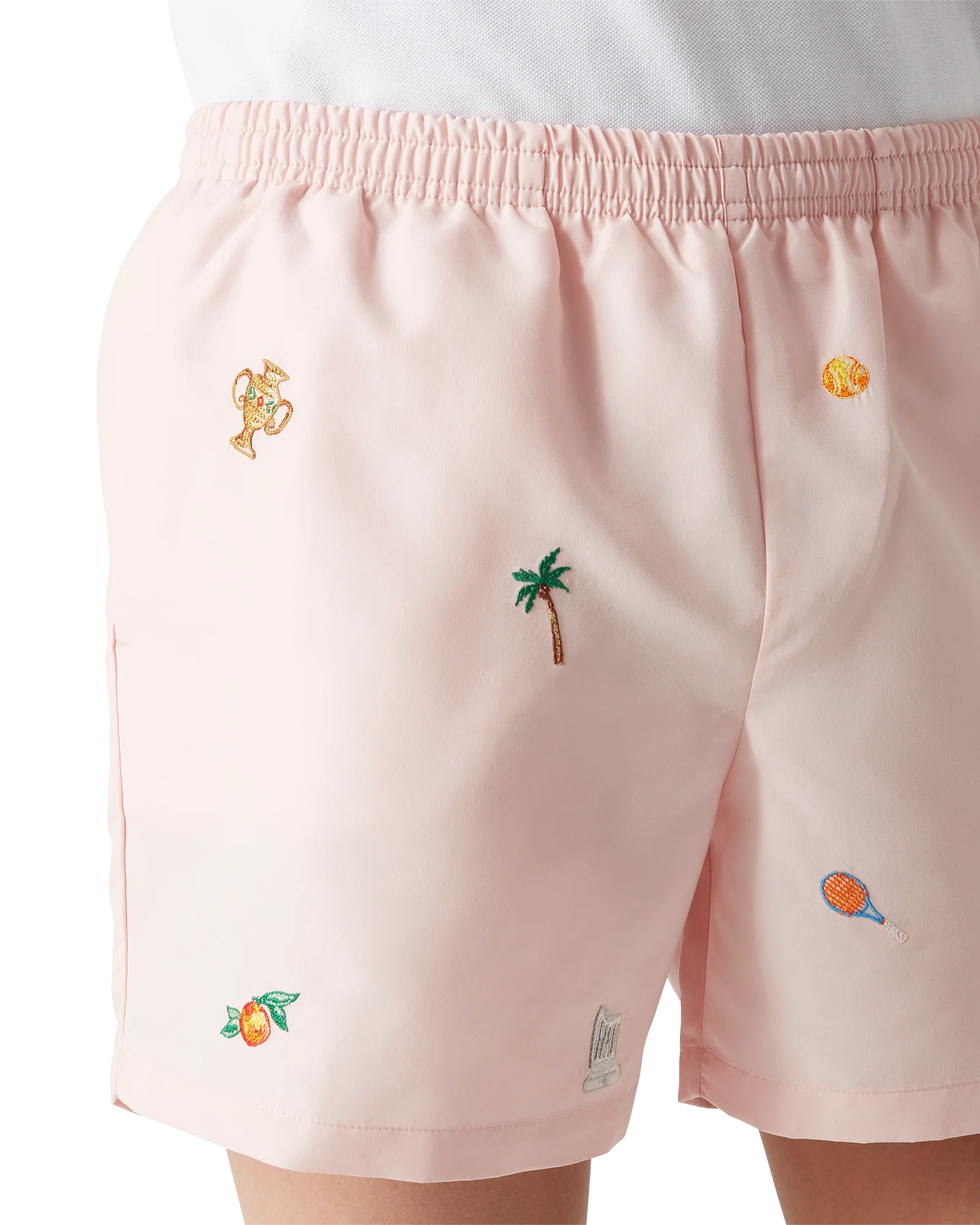 Embroidered Motif Swim Shorts