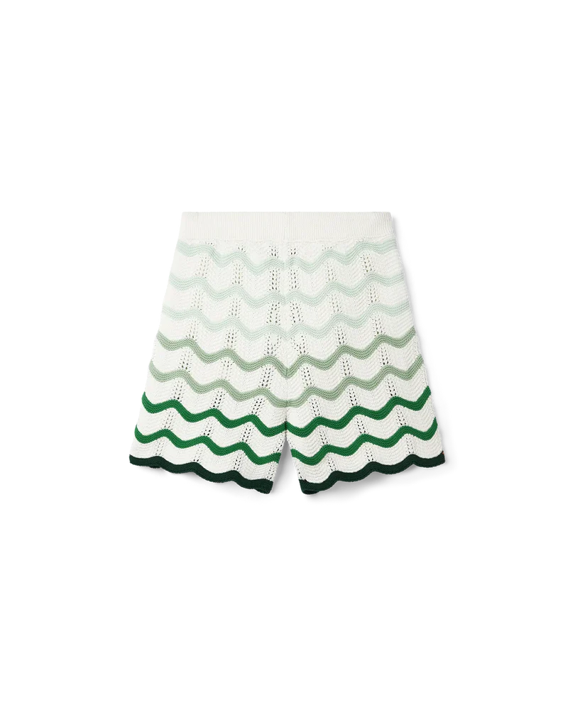 Wavy Gradient Crochet Set