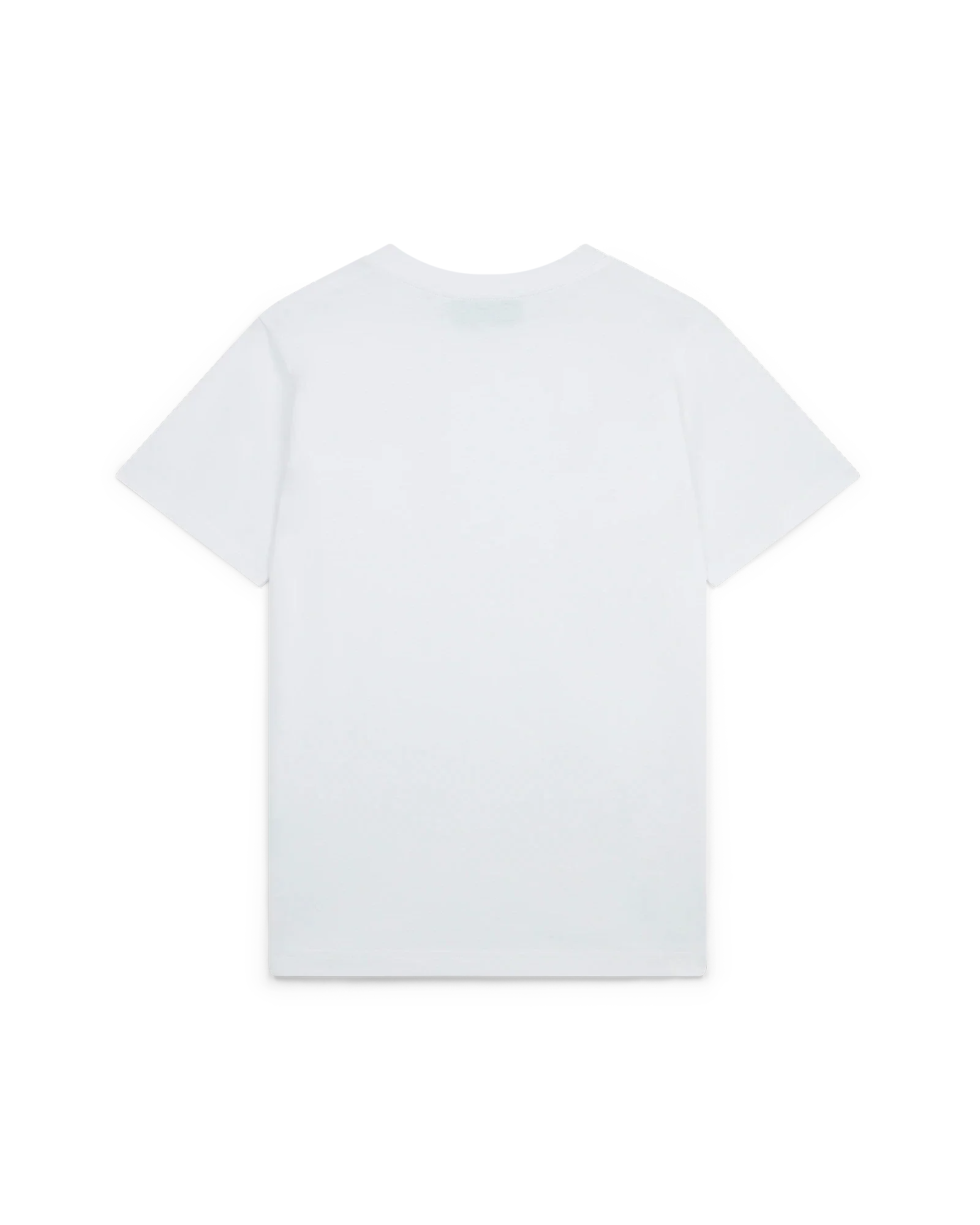 Playful Eagle T-Shirt